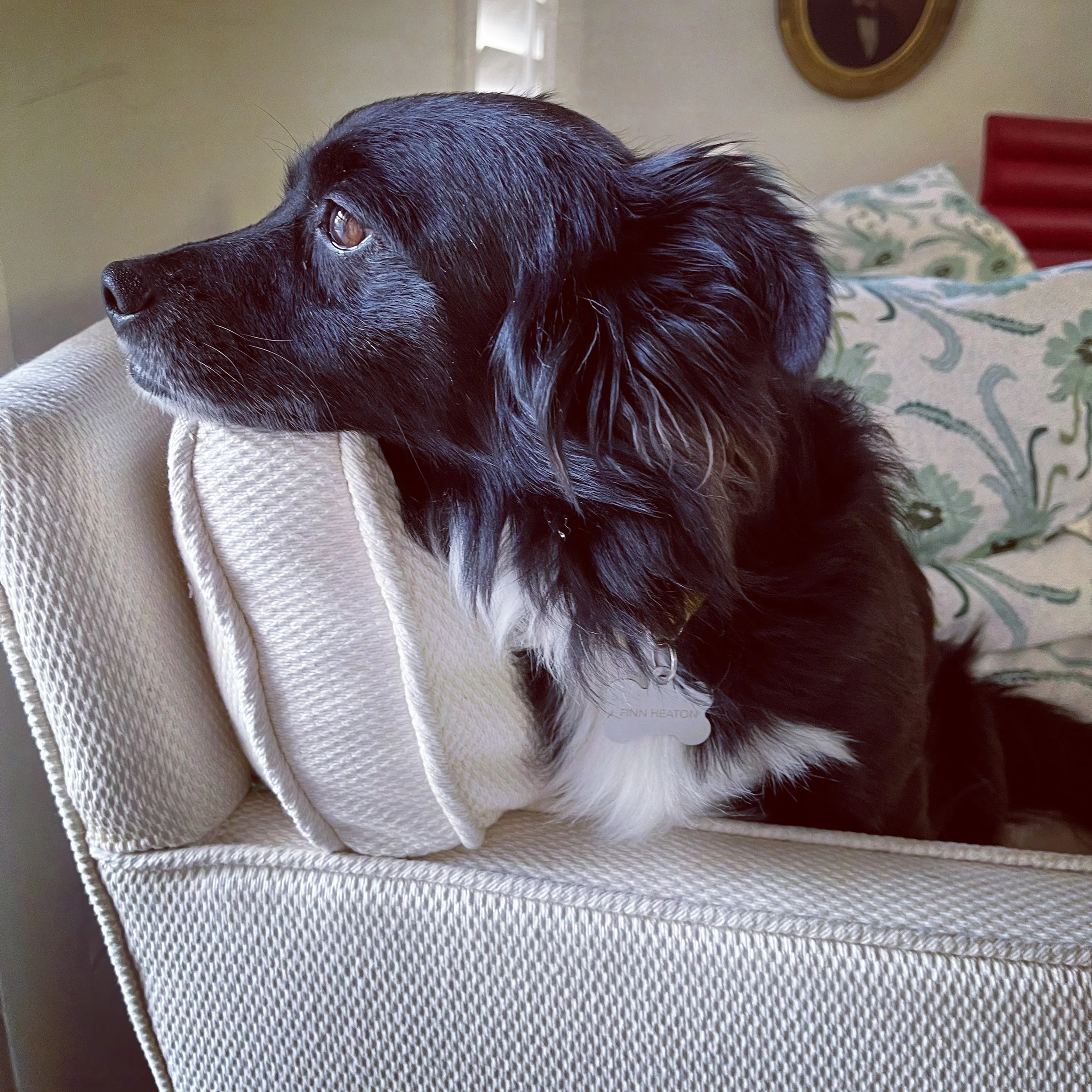 Mr. Wilson, 3rd Time is a Charm