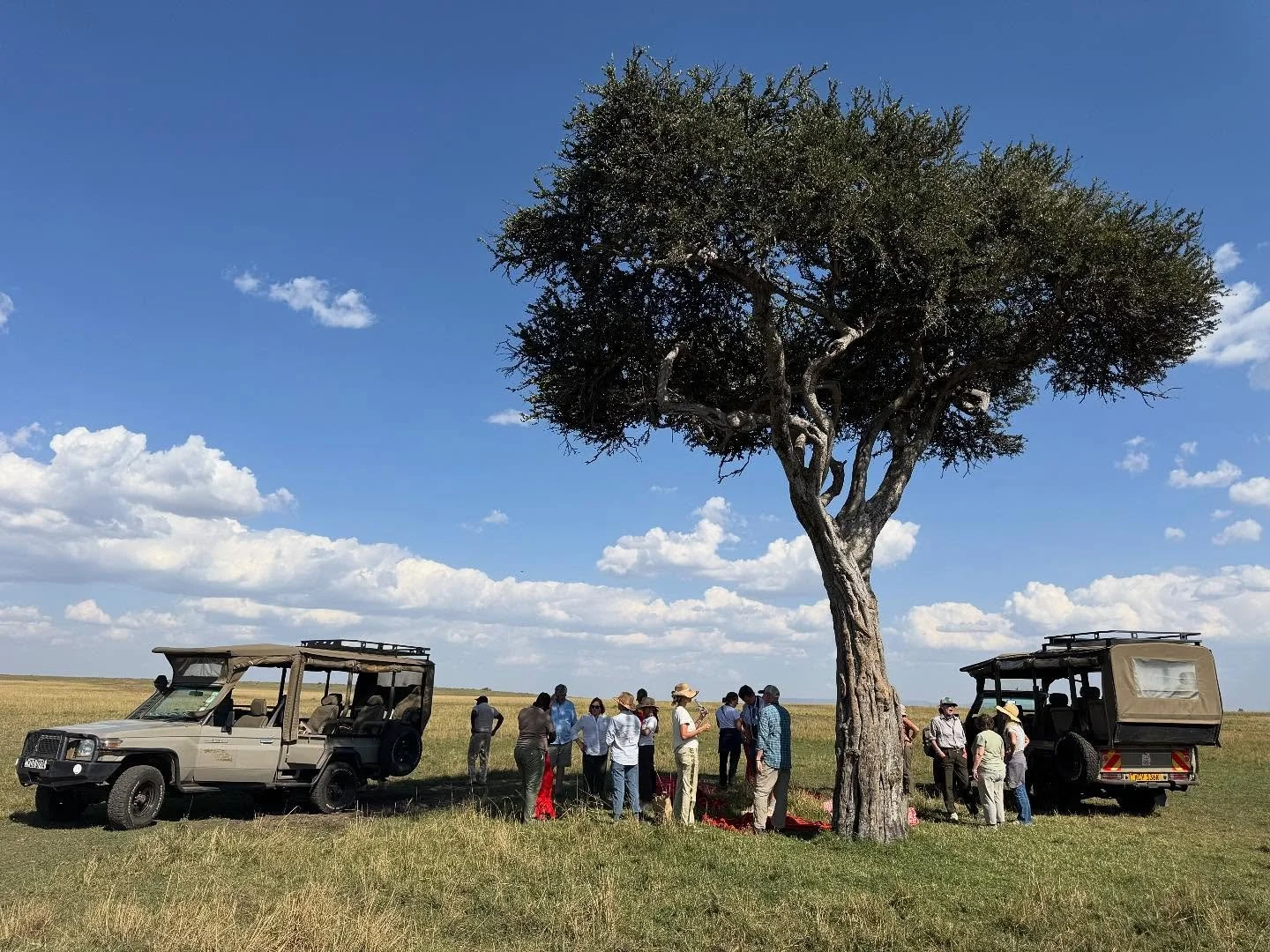 Kenyan traffic jam! A quick chat in the bush after a picnic lunch.