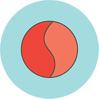 Julie-Bear-Dont-Walk-Icon-1.png