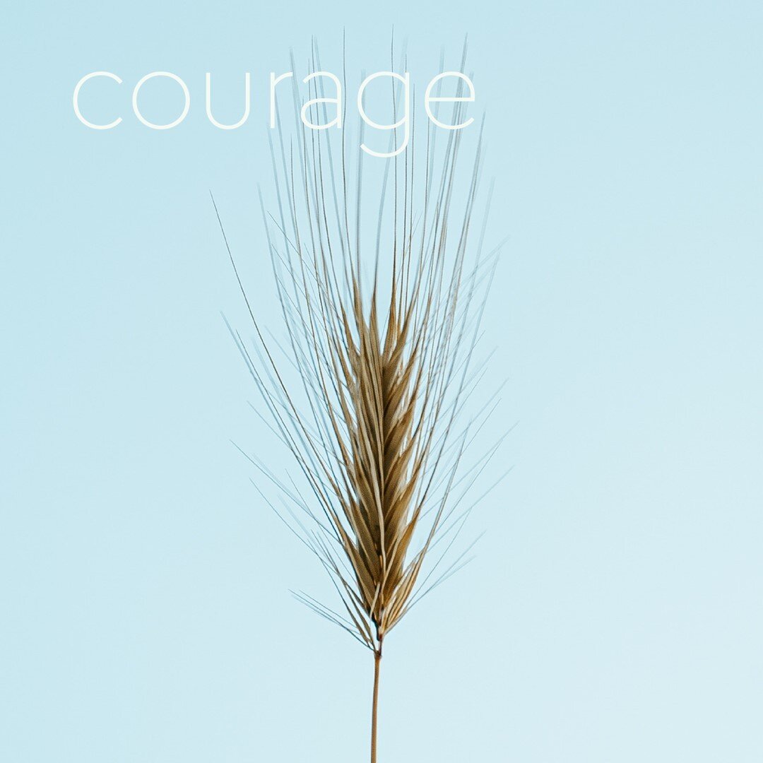 So what does Courage have to do with the changing of the seasons? One of the primary emotions associated with the Lung and Large Intestine systems, the organs associated with this time of year in Chinese Medicine, is grief. But the positive aspects o