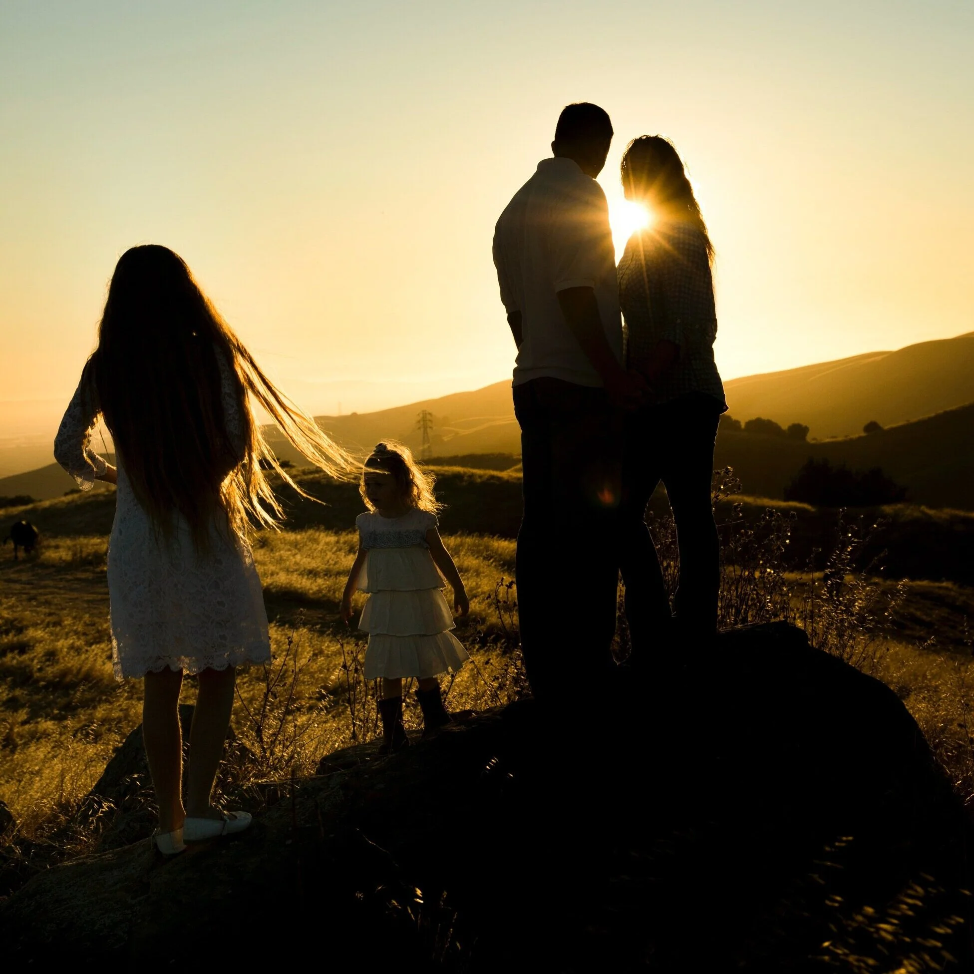 Photo of a red poppies in a field against an open sky.