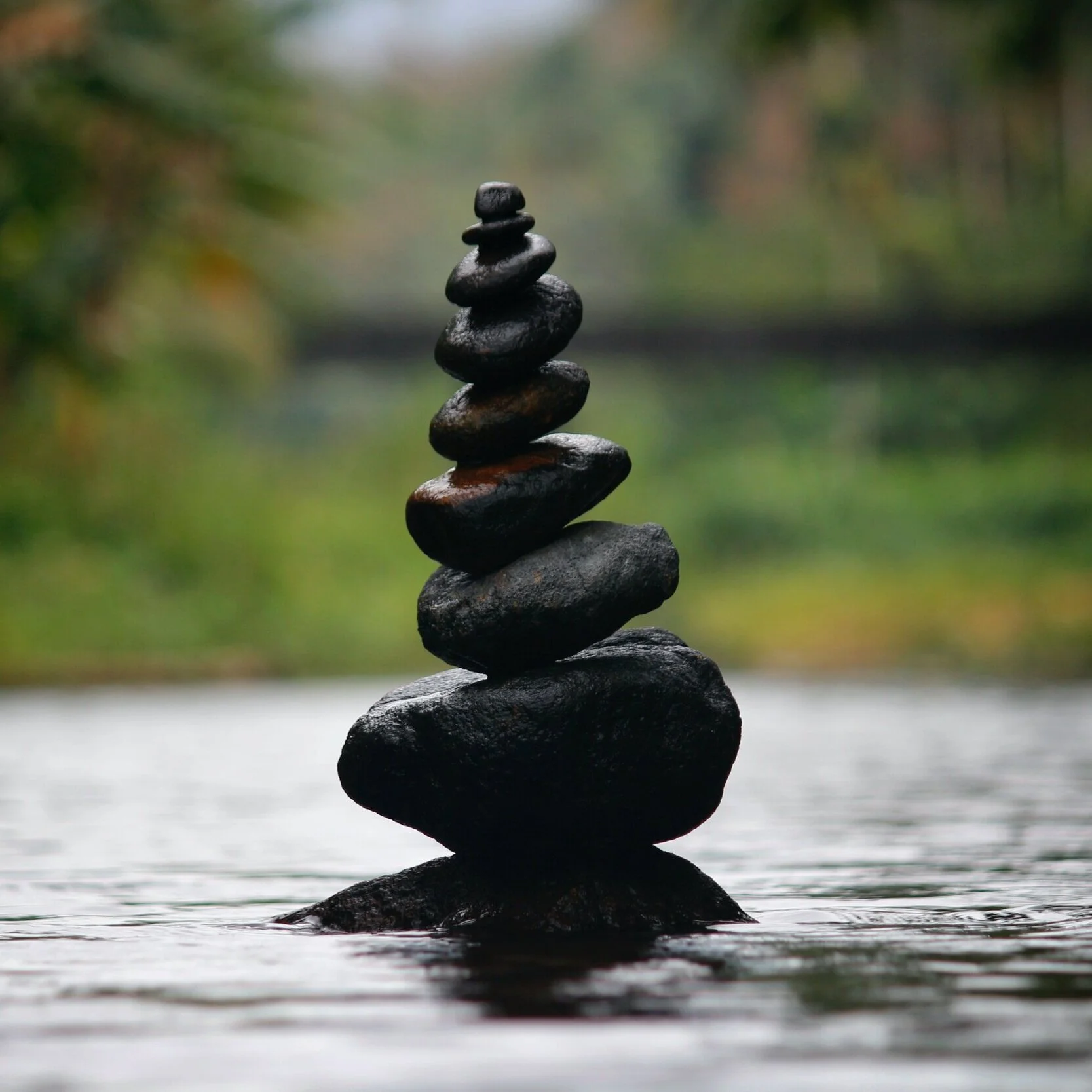 Photo of a woman with a scarf blowing in the wind against a sunset.