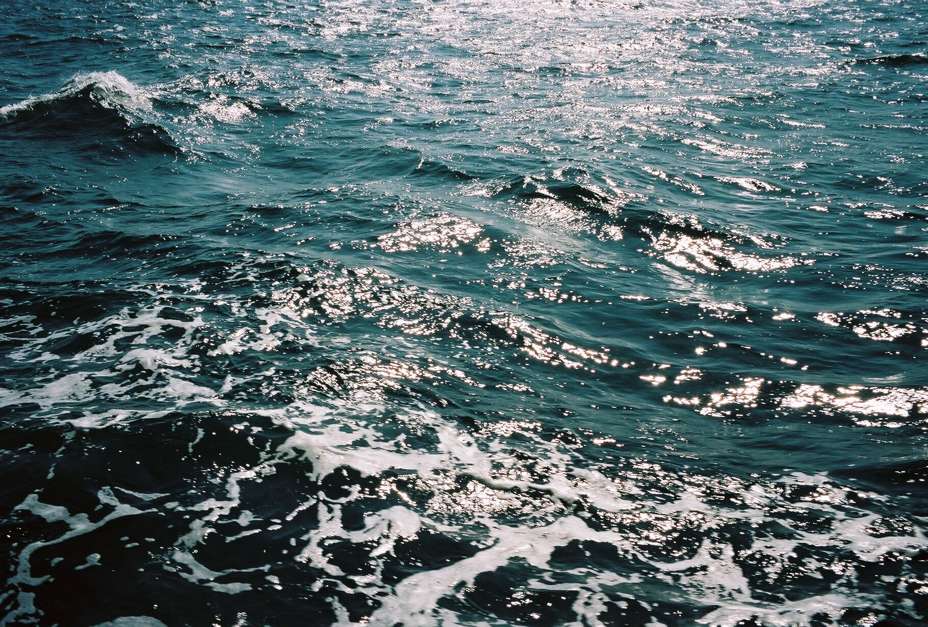 000042.JPG