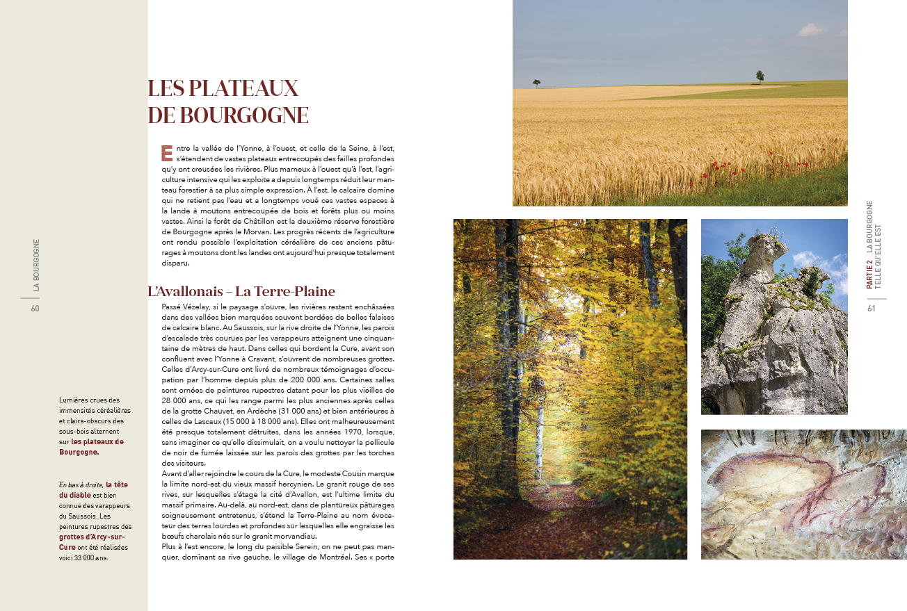 Bourgogne-Cornaille16.jpg