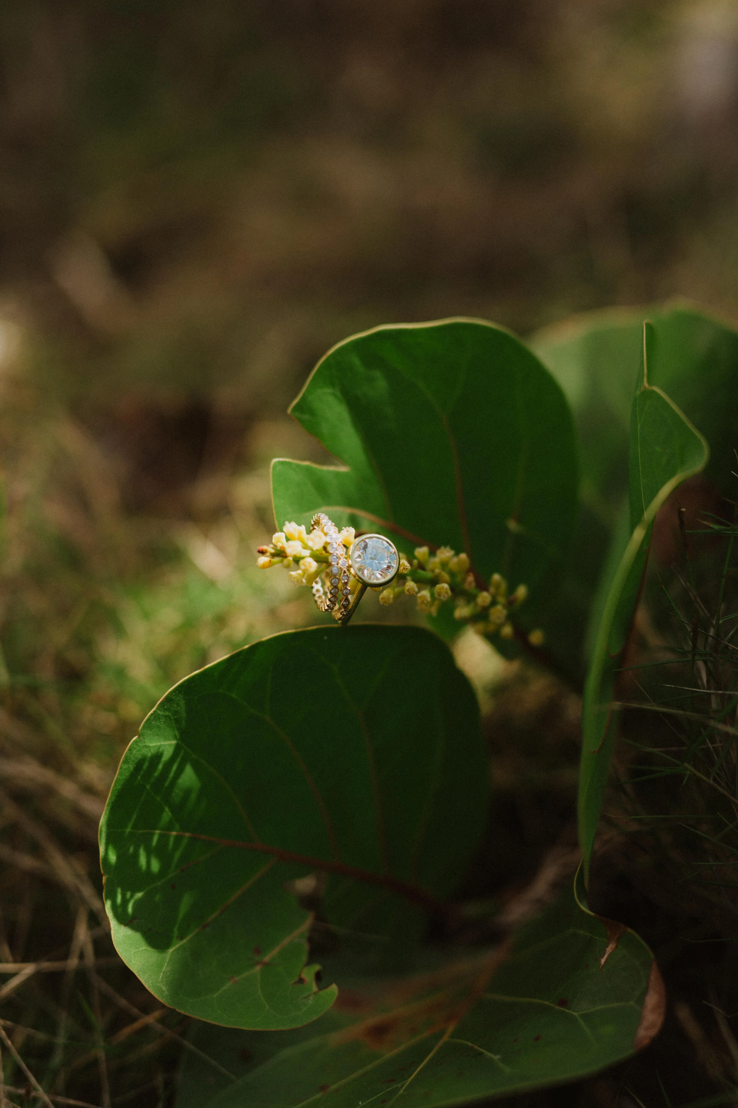 Jenna-Justin-Wedding-Gabrielle-Manni-Sneak-Peek-002.JPG