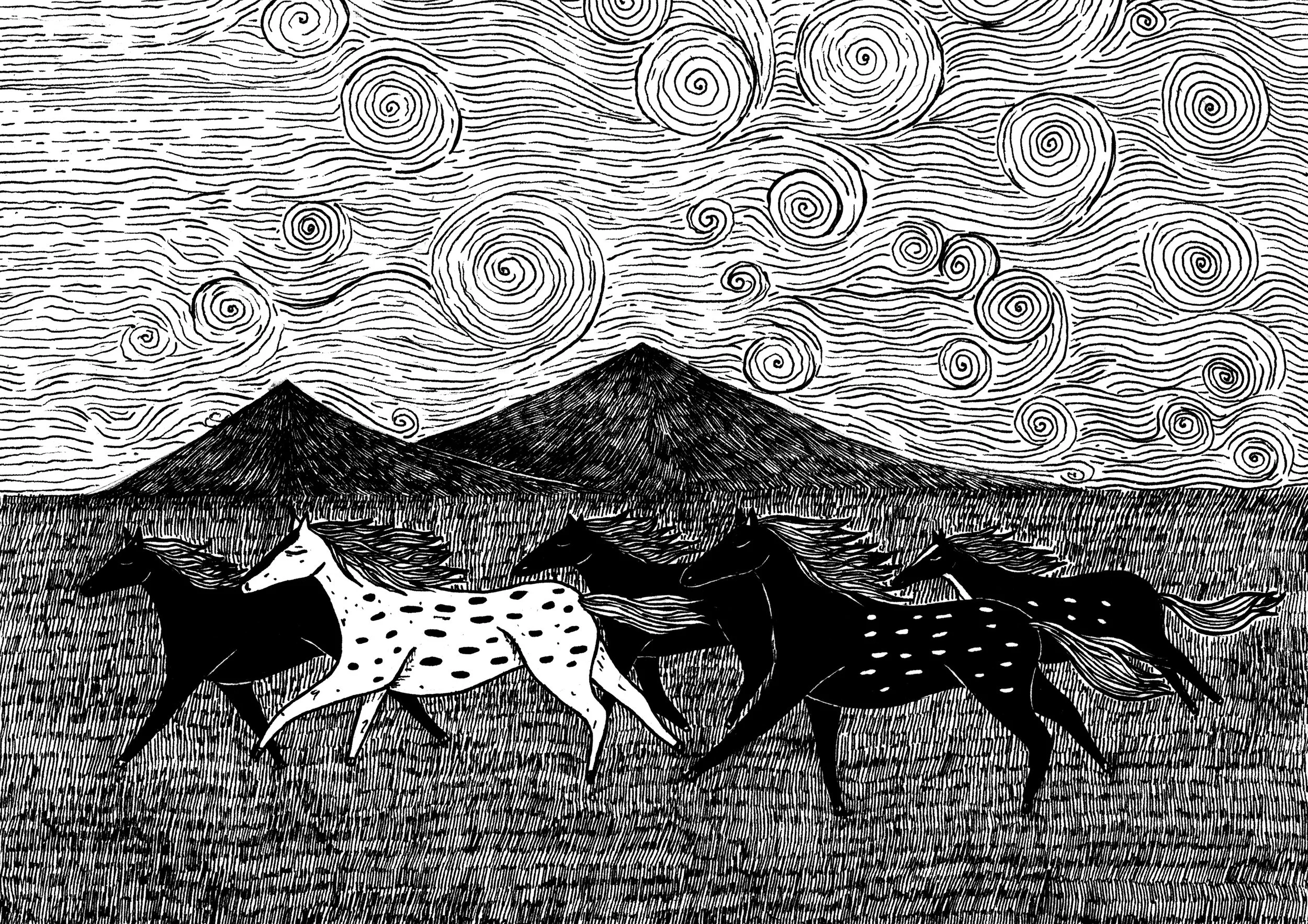 wild horses horizontal.jpg