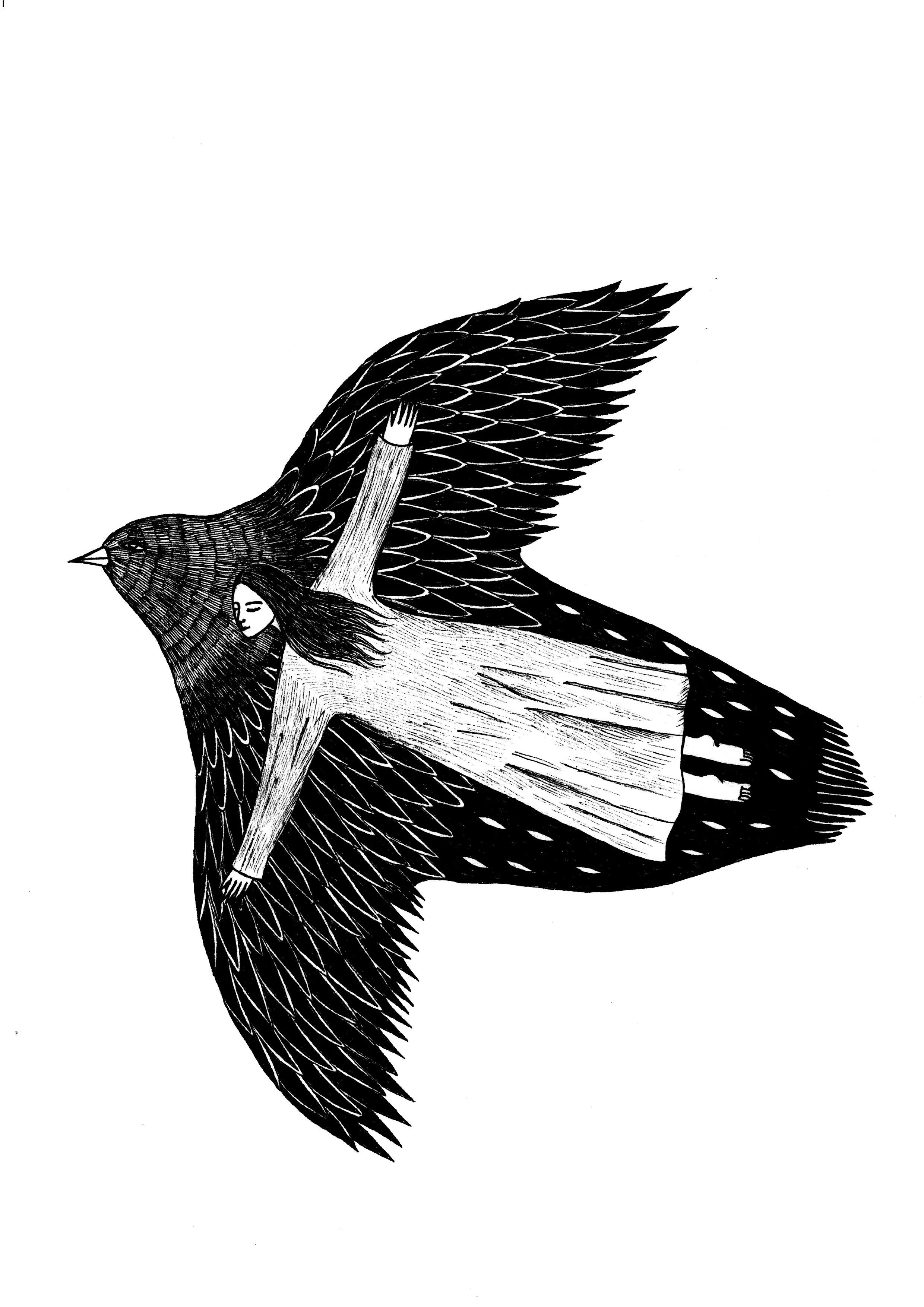 8 flying with birds.jpg