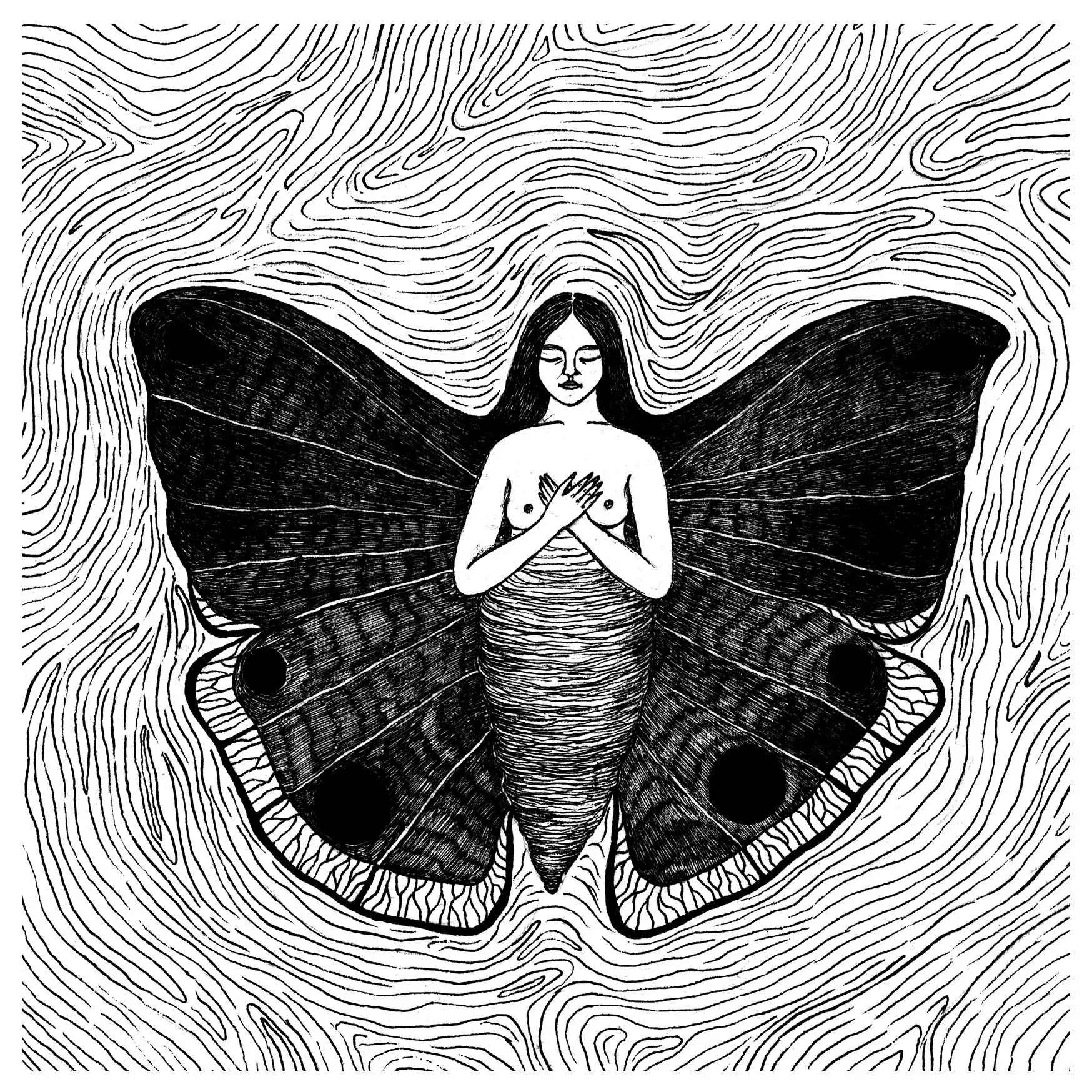 butterfly transformations.jpg