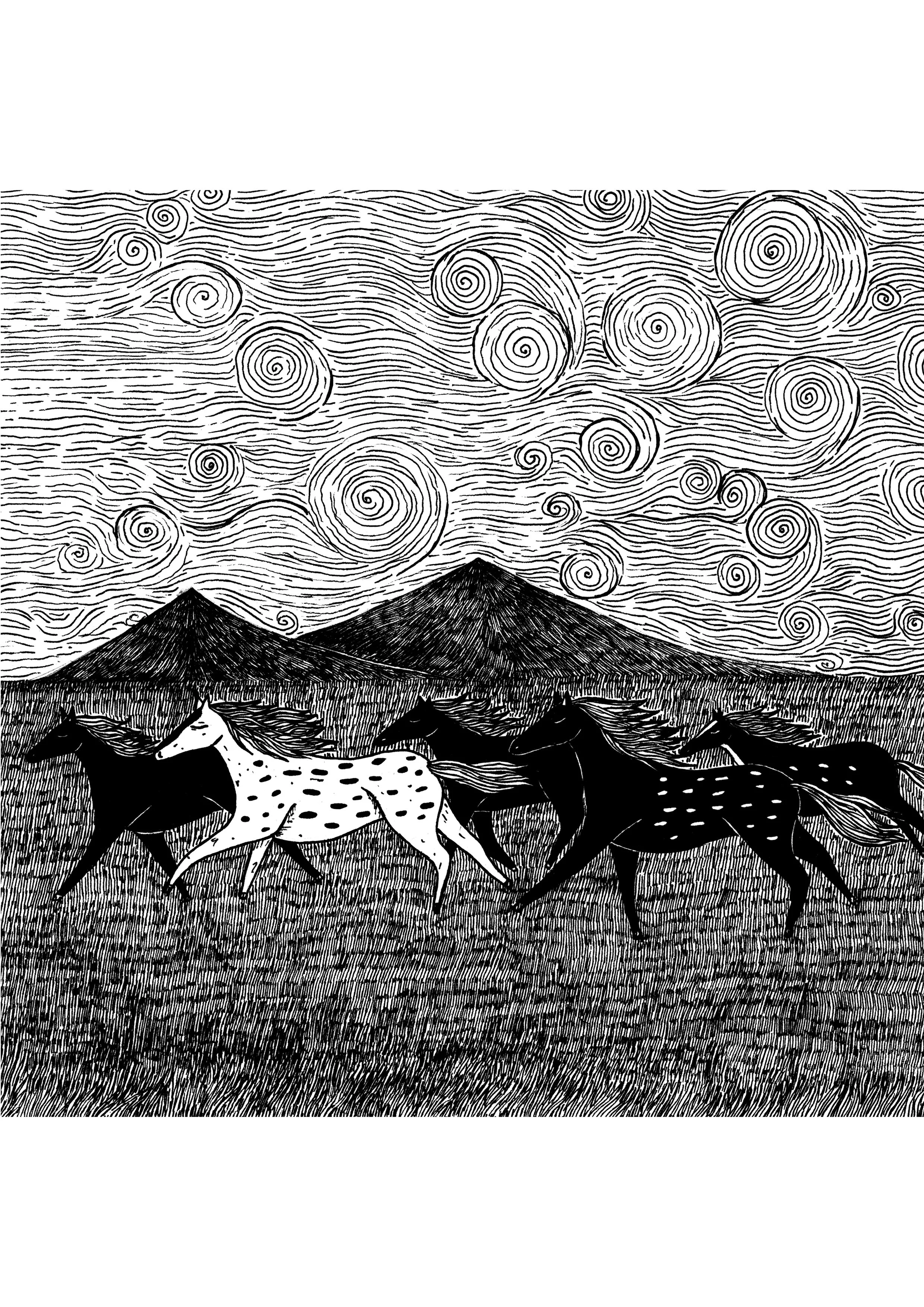 Wild horses portrait.jpg