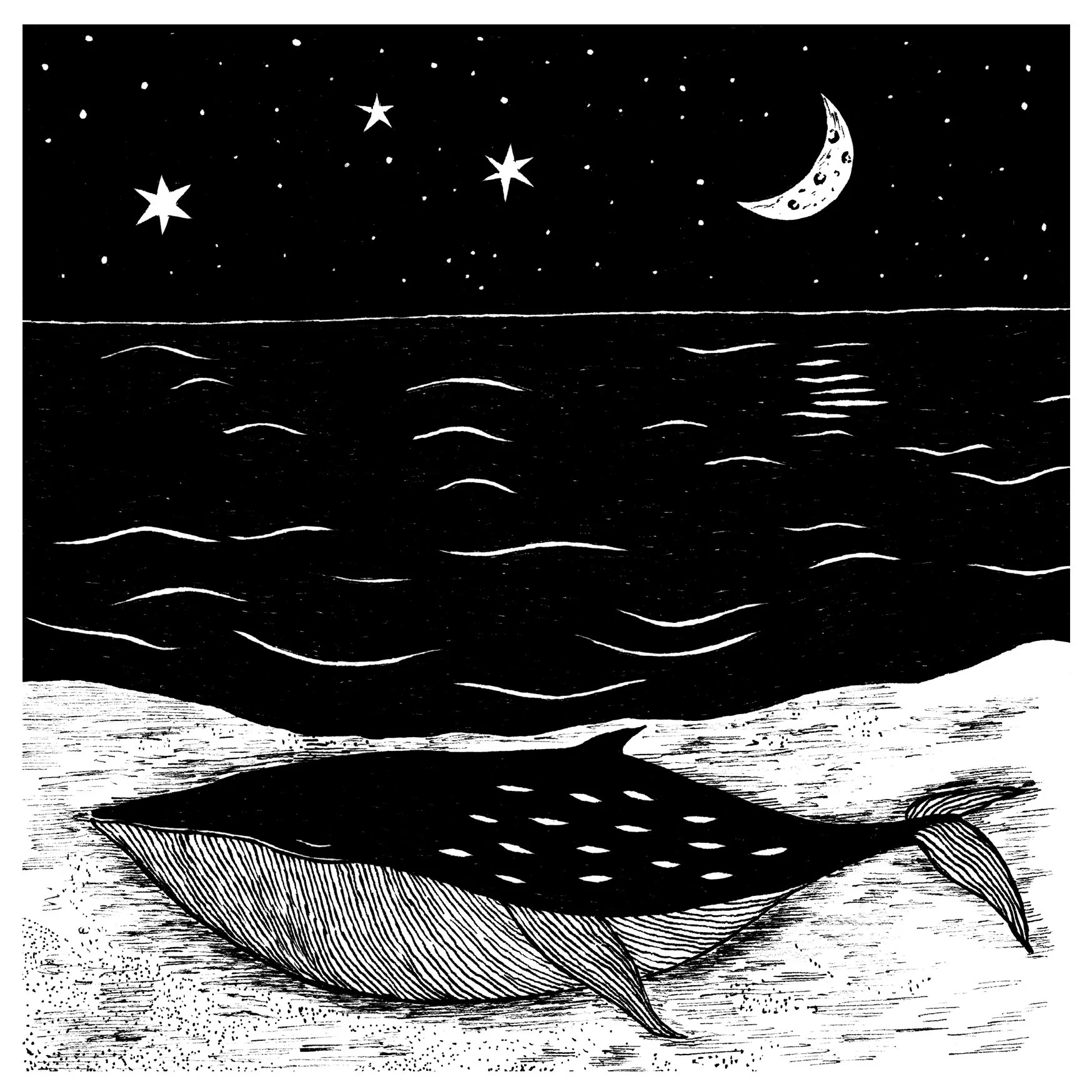 whale sqsp.jpg
