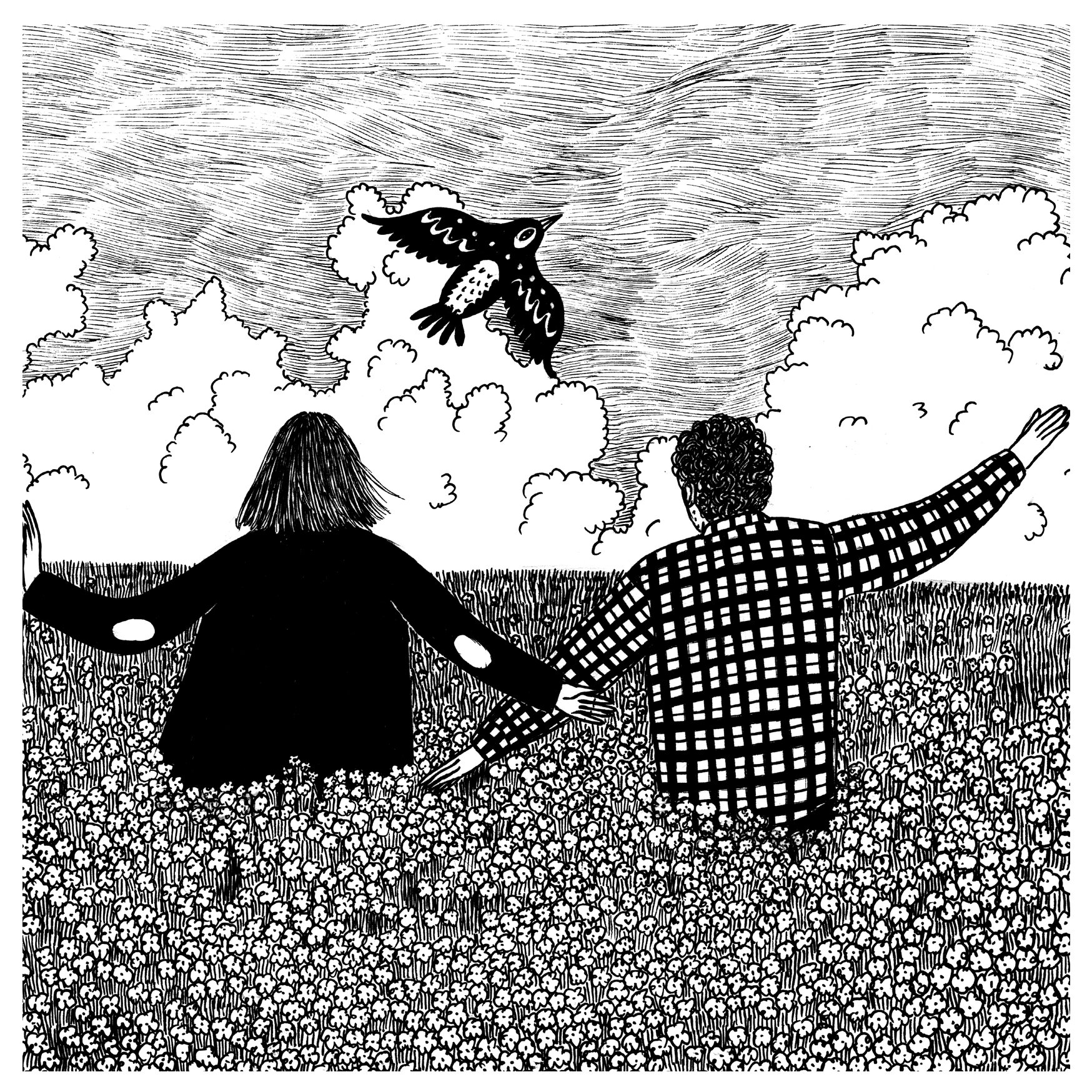 In the field sqsp.jpg