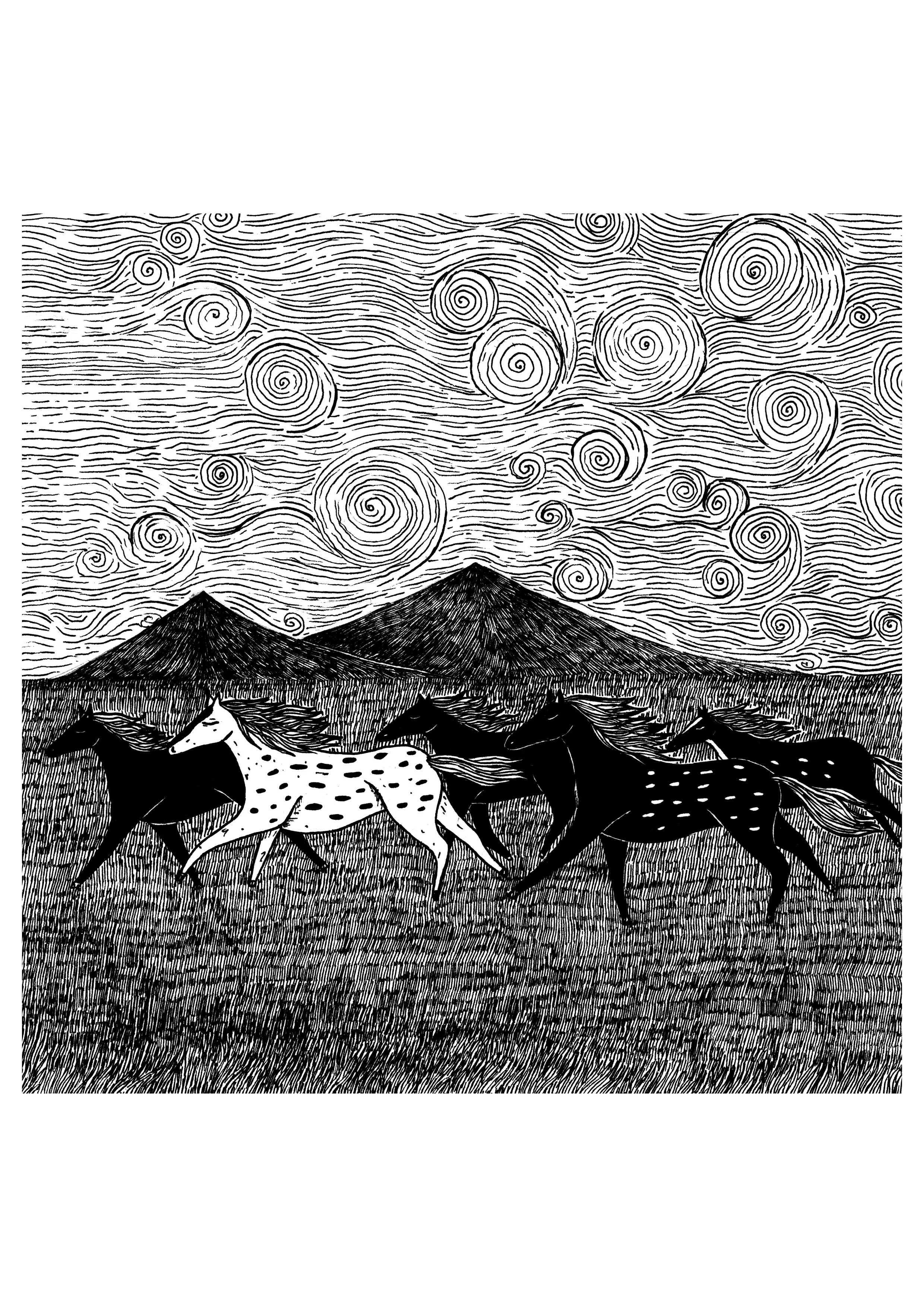 wild horses middle.jpg