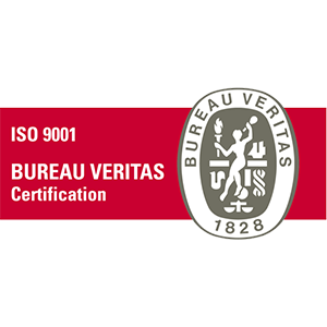 ISO 9001.png