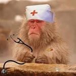 Meet the PAs Podcast