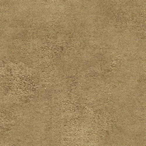 W58753 - Michelangelo