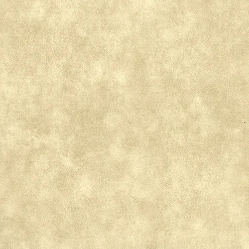 58460 - Pearlescent X