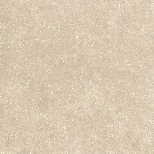 58884 - Sandpiper