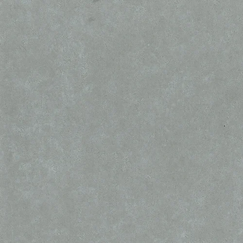 58895 - Gull