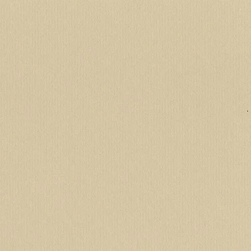 401 - Sand C-W-X