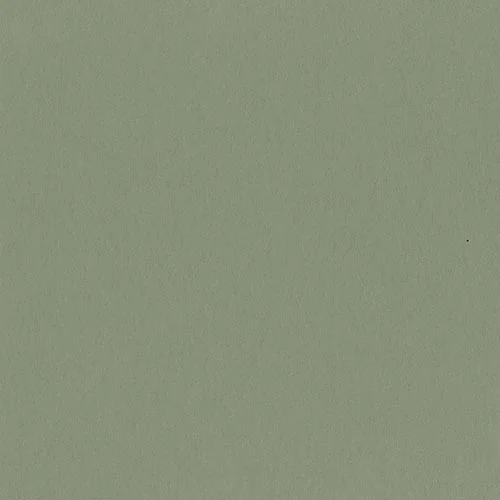 W062 - Clover
