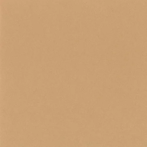W419 - Champagne