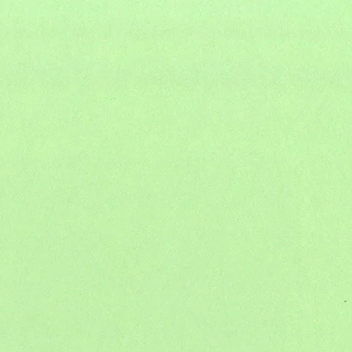 W691 - Kiwi