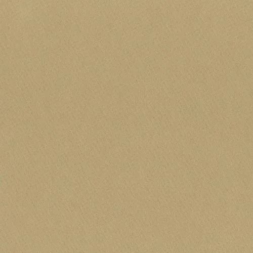 B519 - Desert Sand
