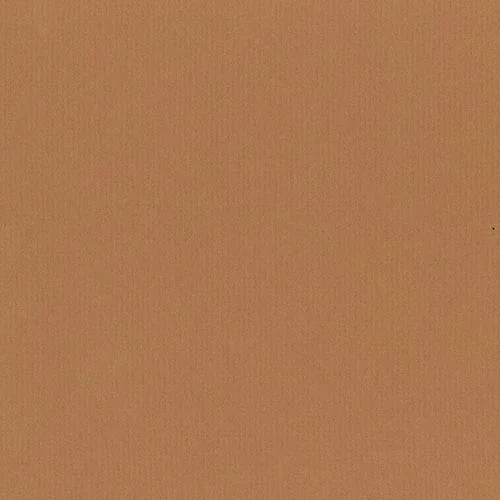 B654 - Ginger Cookie
