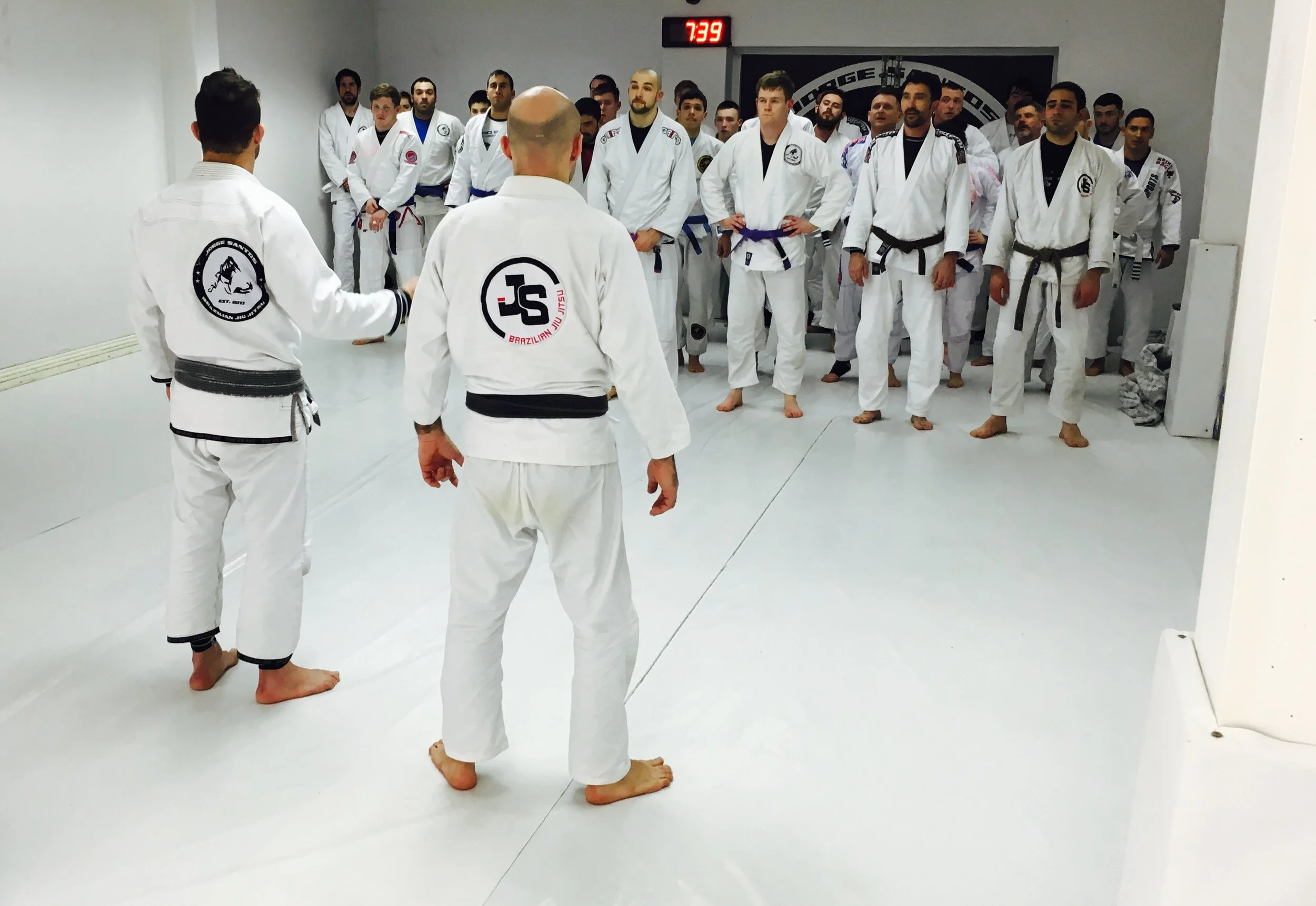 JSBJJ REWARD PROGRAM