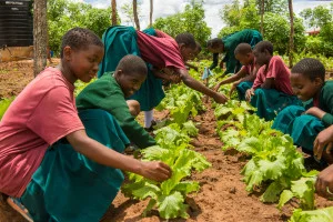 SEGA students work in SEGA’s organic garden.