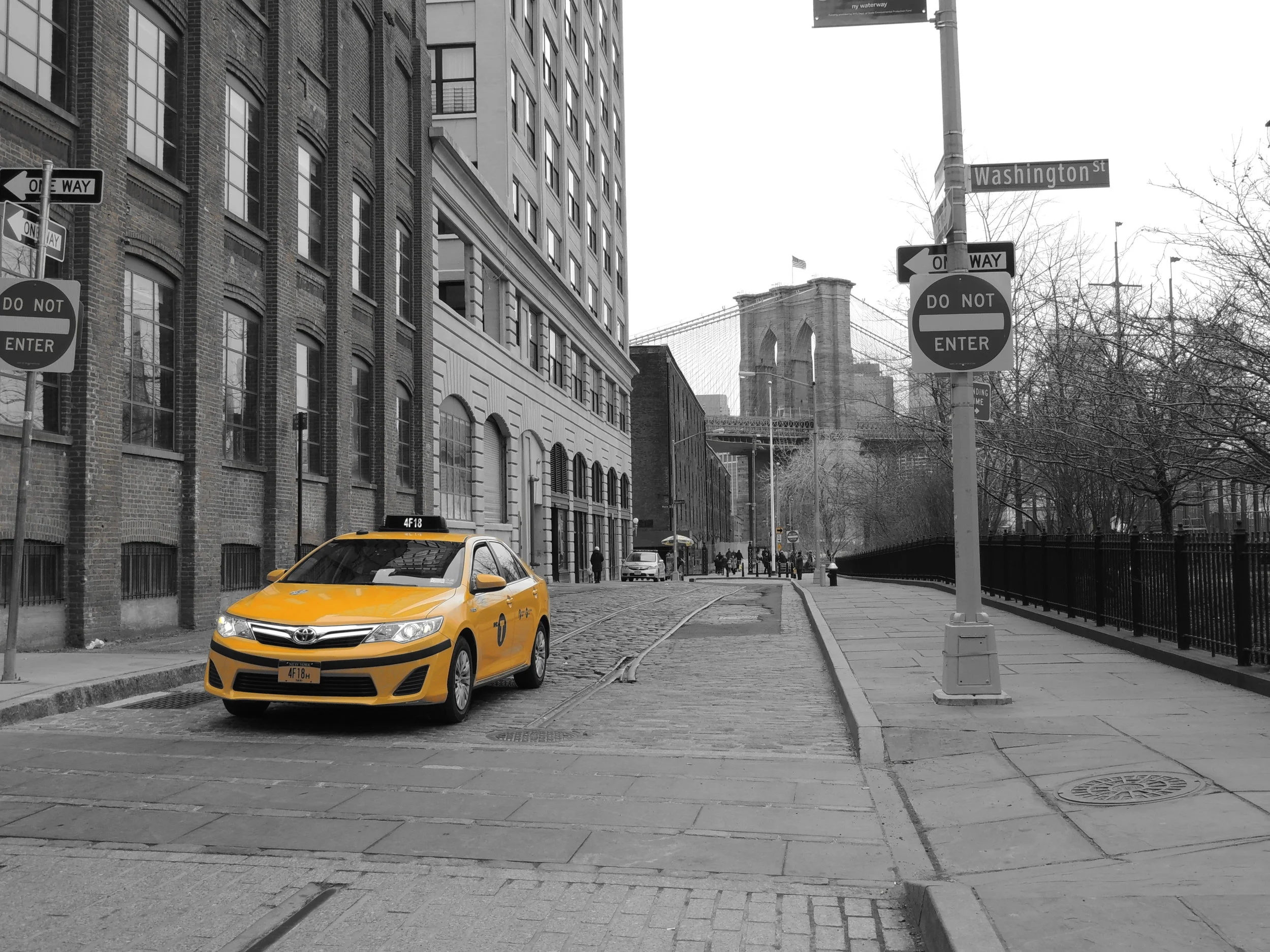 DSCN0516.JPG