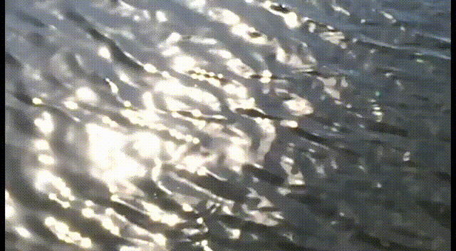 water-slow-mo-10-sec-sd.gif