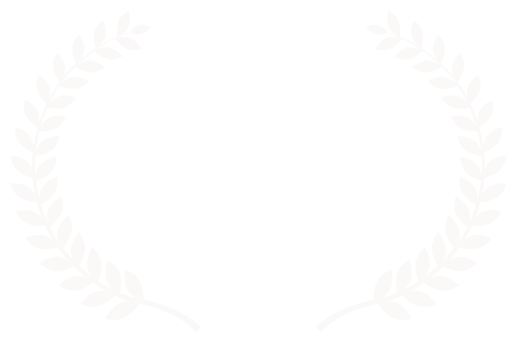 AWARD OF EXCELLENCE - Women Filmmaker - IndieFEST FILM AWARDS 2017.png