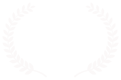 MeritofAwarenessAward-AwarenessFestival-2018.png