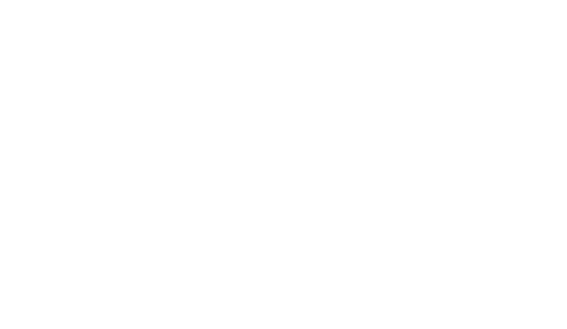 AIFF 2019 Jury Award 2nd Runner Up Laurel_white transparent.png