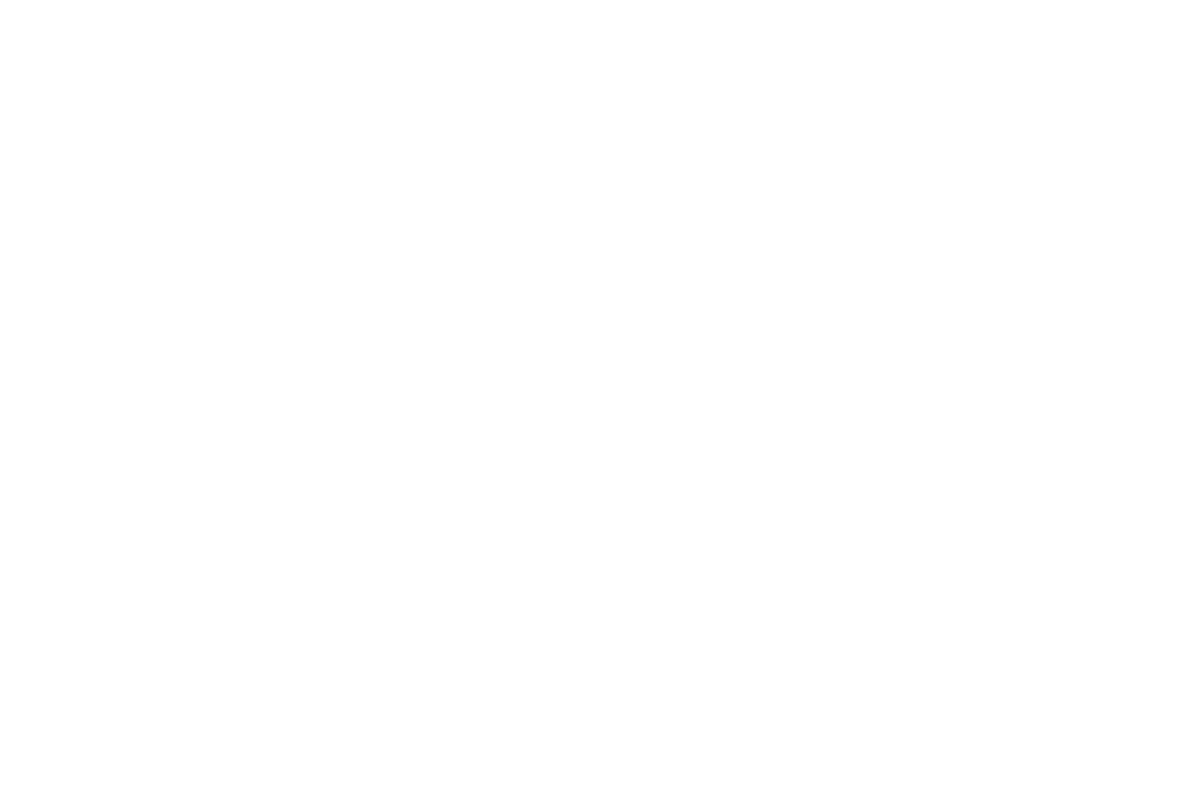 OFFICIAL SELECTION - Blow-Up International Arthouse Filmfest Chicago - 2020.png
