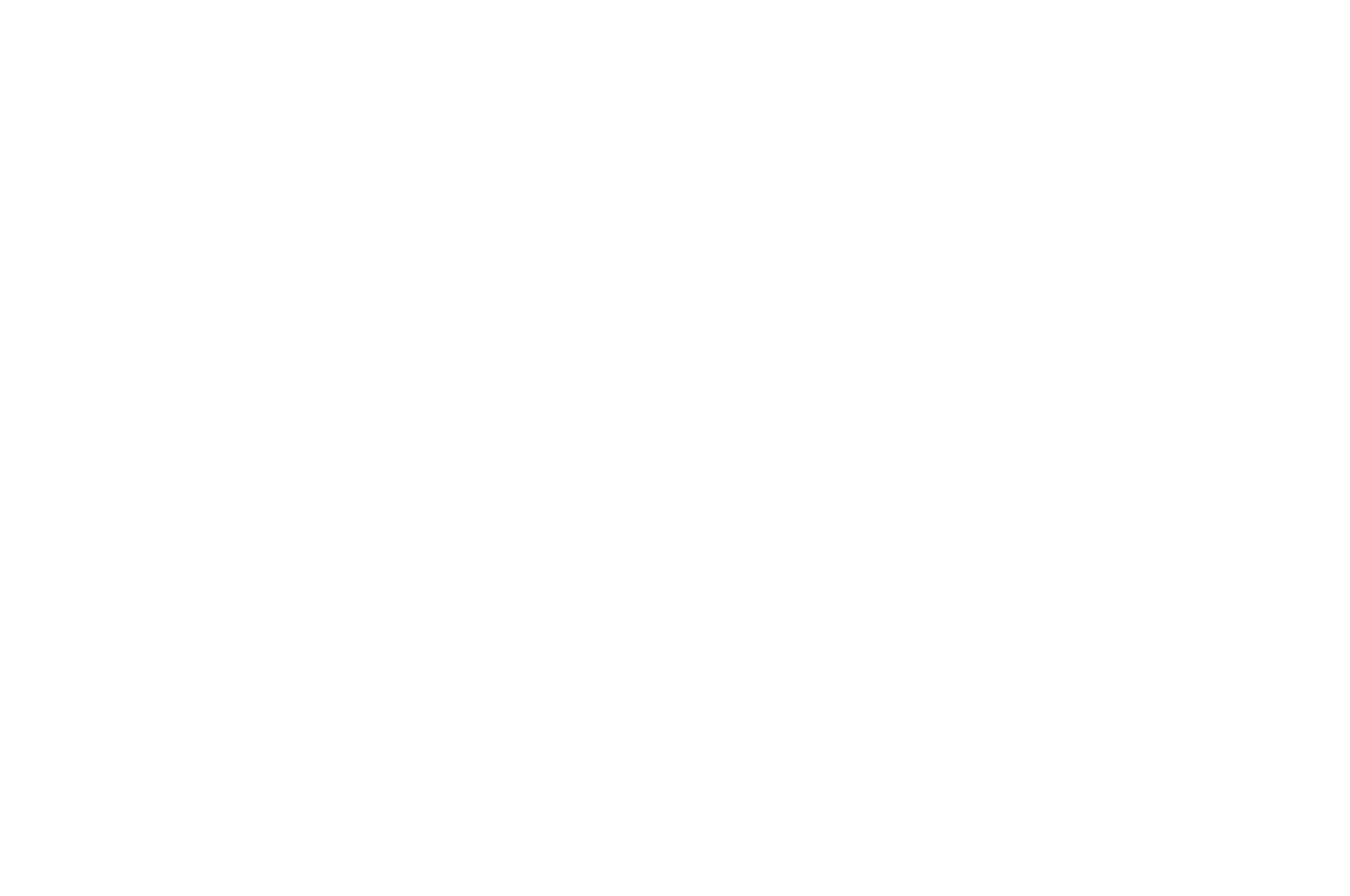 OFFICIAL SELECTION - SARASOTA Film Festival - 2020 2.png