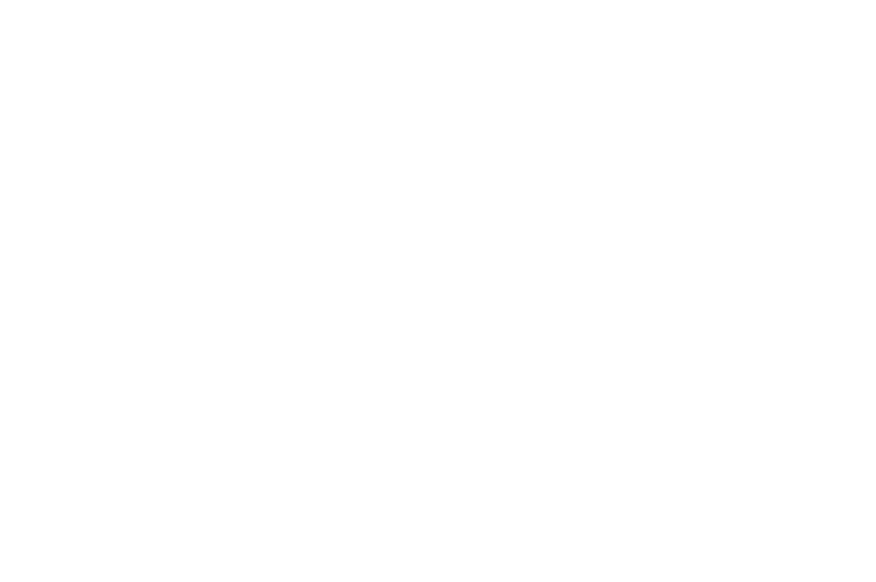 OFFICIAL SELECTION - San Francisco Short Film Festival - 2020.png