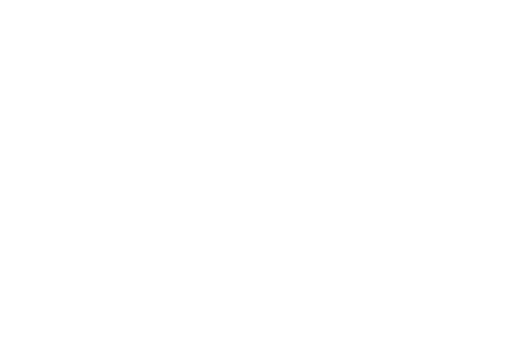 OFFICIAL SELECTION - POW Fest - 2020.png