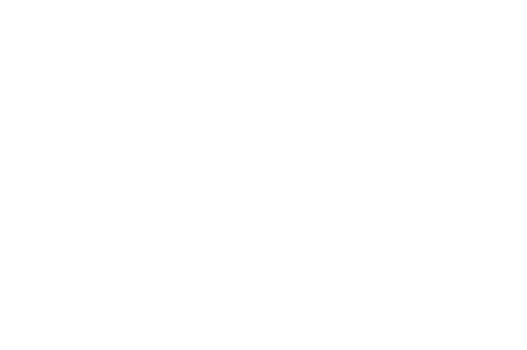 OFFICIAL SELECTION - Blow-Up International Arthouse Filmfest Chicago - 2020 (1).png