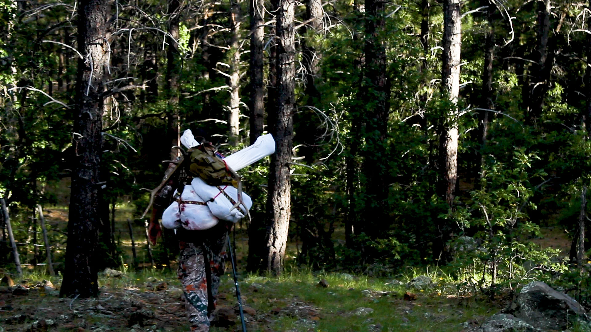Front and rear quarter + rack + camera gear = severe leg cramps!