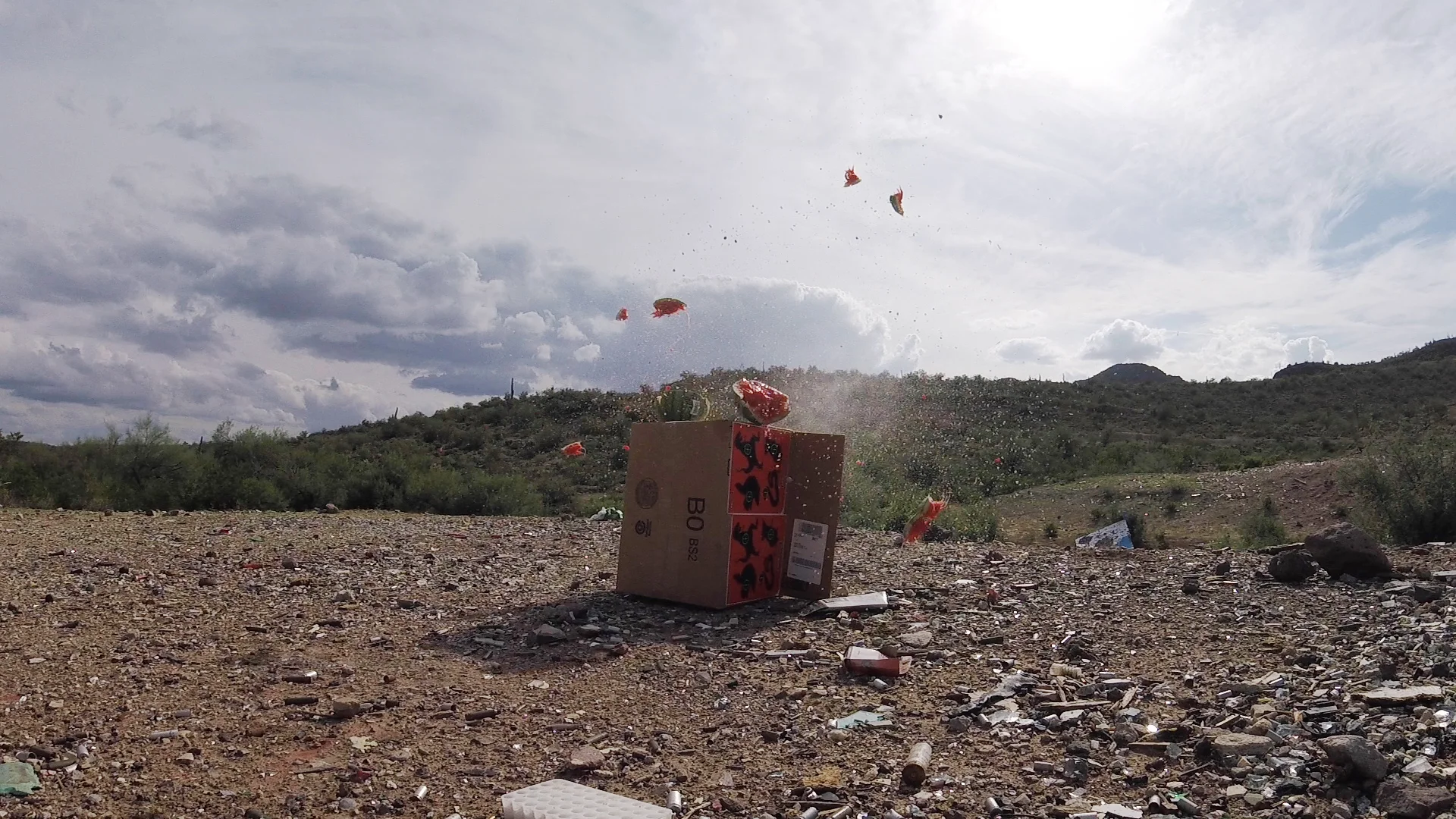 9mm vs. Watermelon…it never stood a chance.