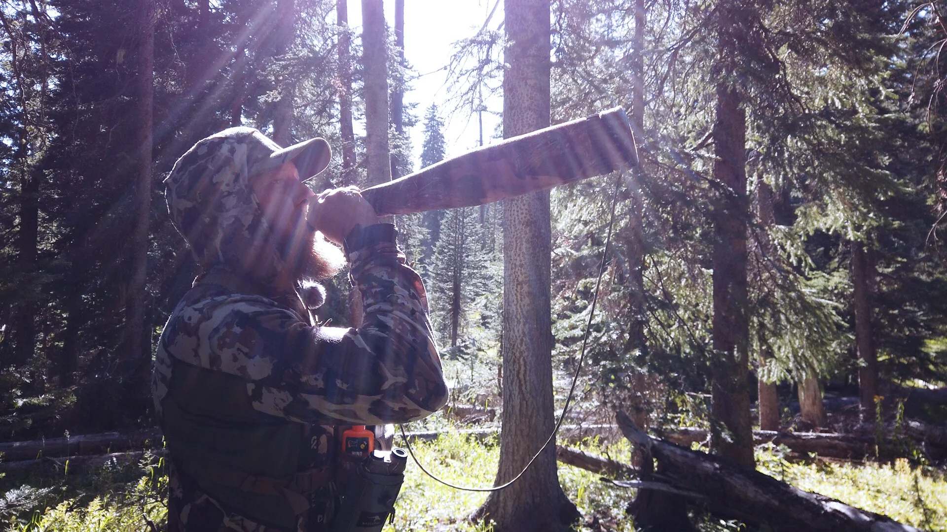 I went into CO with dreams of calling screaming bulls into me…the elk had something totally different in mind.