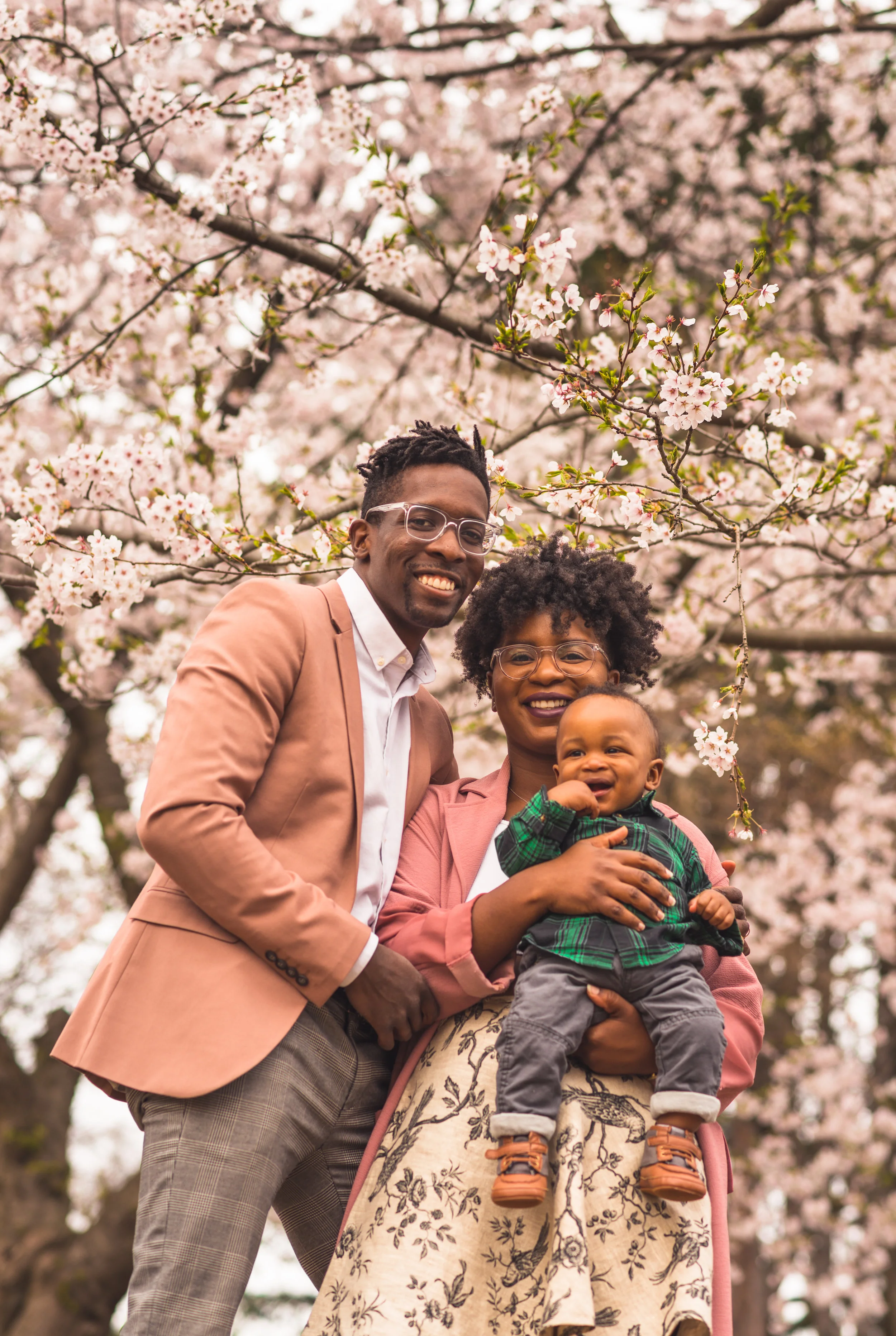 reggie-cherryblossoms.jpg