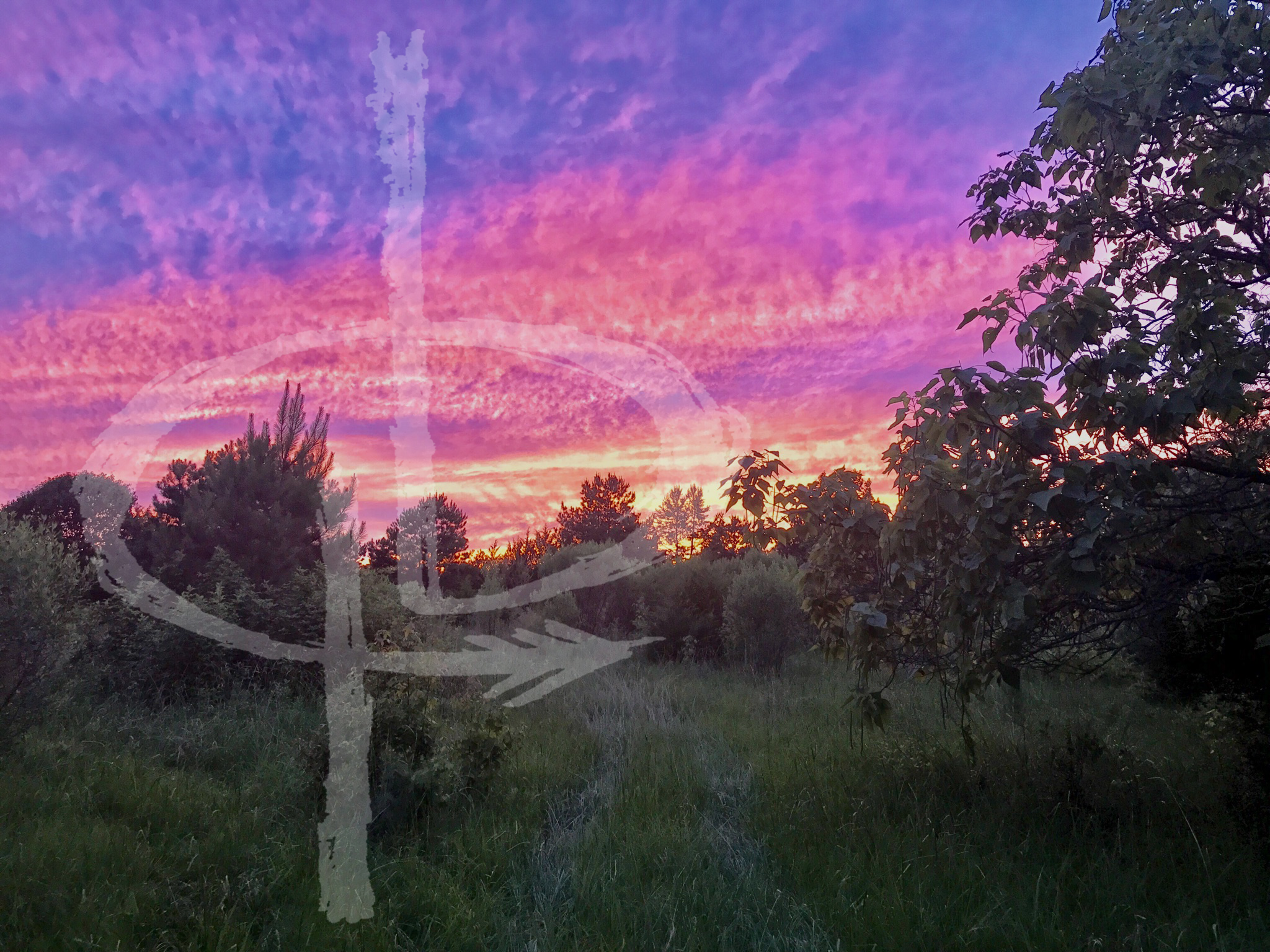 buckpoint_mainpage_v1.png