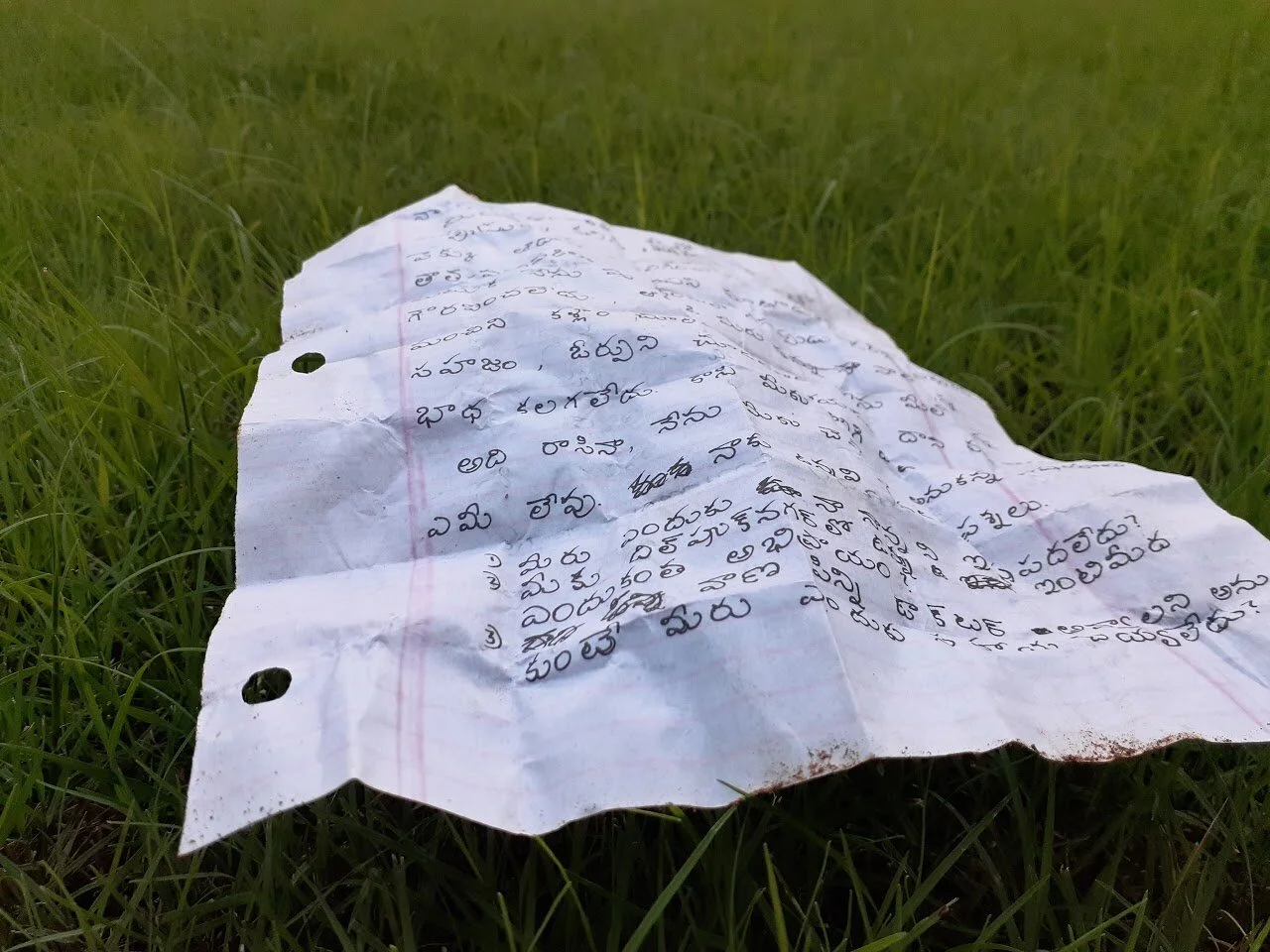 EmbeddedImage 2.jpeg