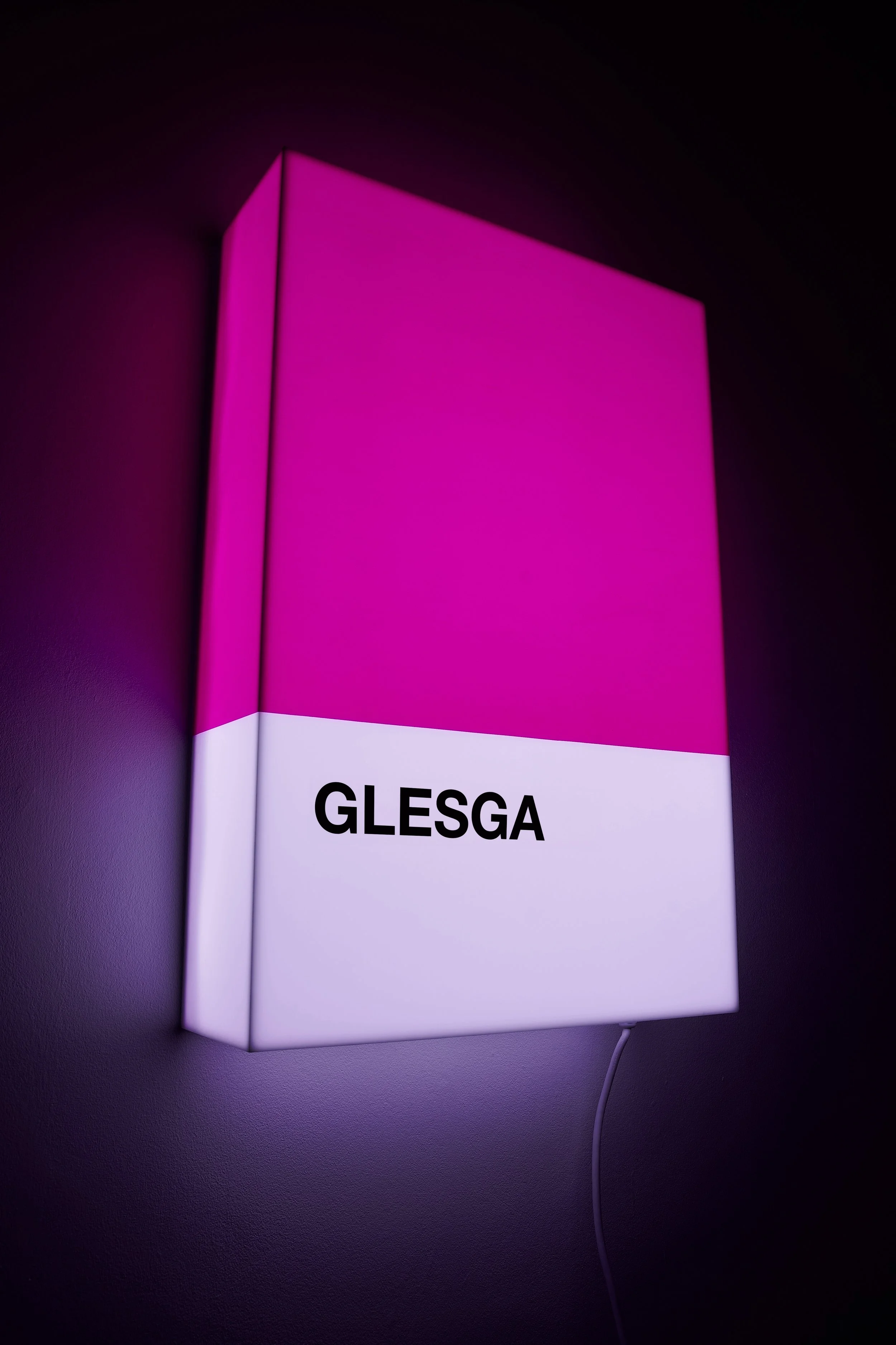 2025 GLESGA Blue light box copy.jpg