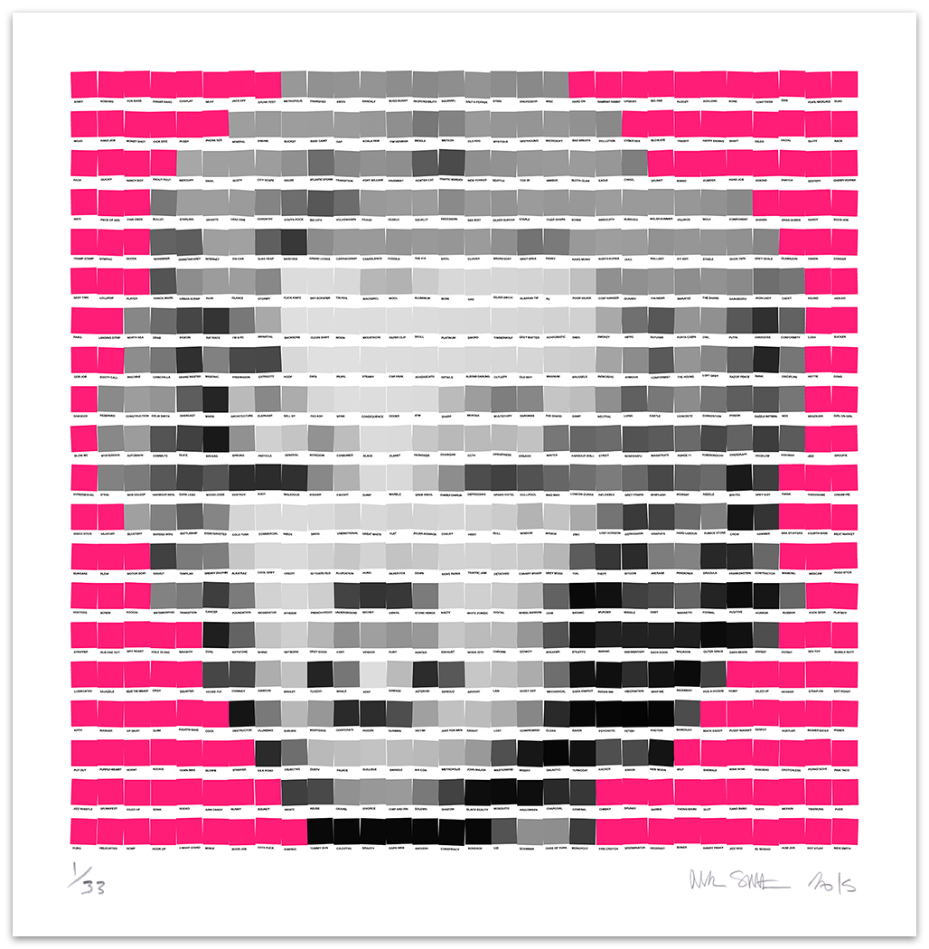 Marilyn Neon Pink 2015 