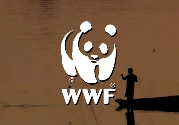 NatalieBlass_Thumbnails_2017_WWF.jpg
