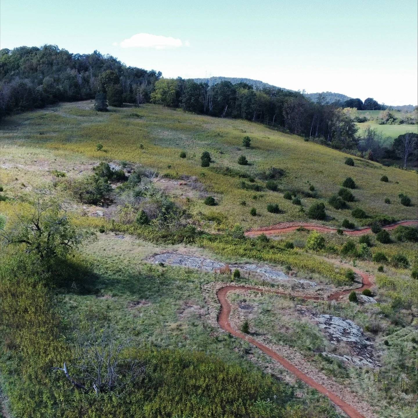 Making Bald Knob easier to access for everyone ✊🏼 this incredible natural area was previously accessed without a clear path. Working with @dcrvirginia we have built a 4ft wide natural trail surface mixed with aggregate surfaces over bedrock for hike